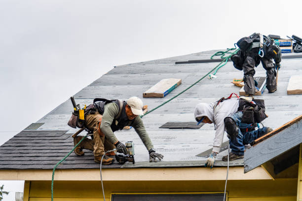 Professional Roofing technician working in Lewisville, NC